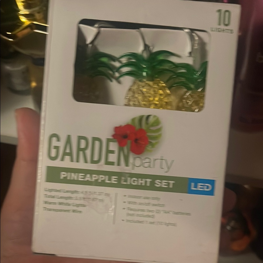 Pineapple LED Light Set